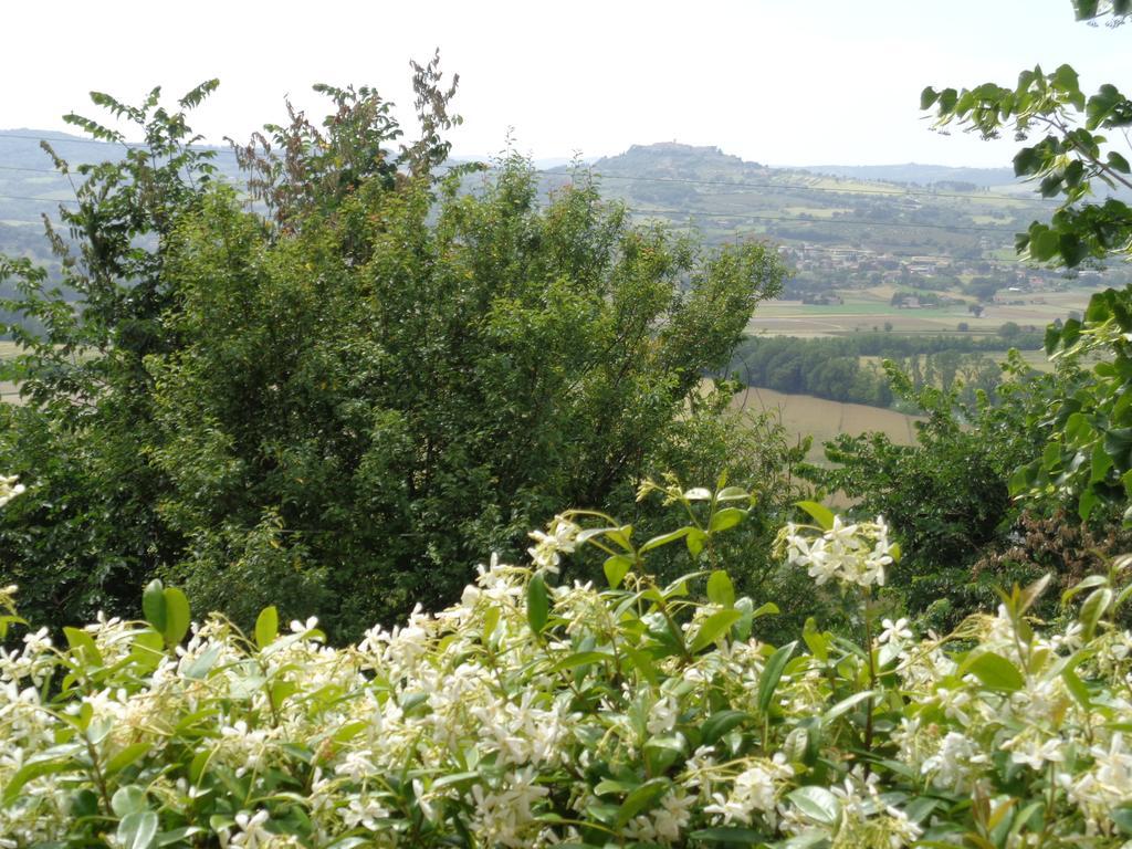 Agriturismo La Torraccia Todi Luaran gambar